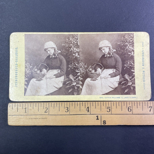 Girl Selling Oranges Counts Her Earnings Stereoview Sophus Williams c1870 Y1301