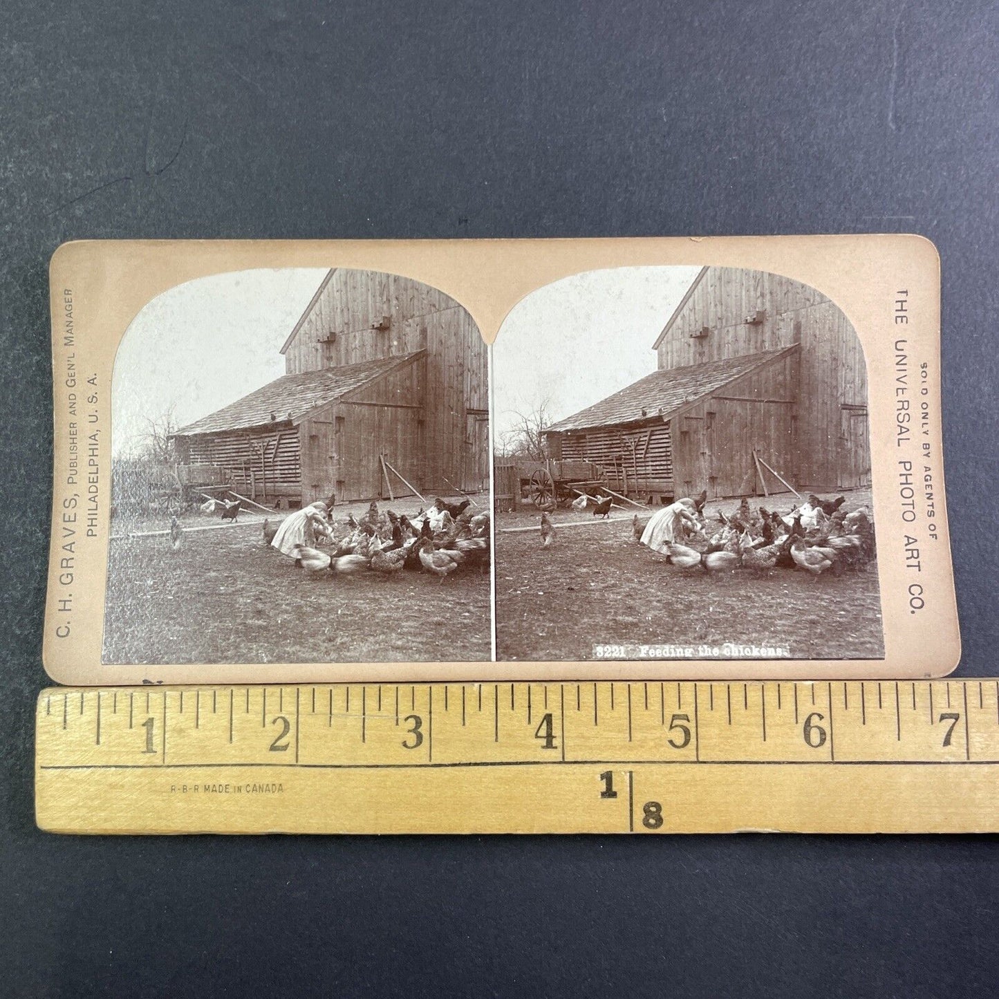 Little Girl Feeding Chickens Midwest US Farm Stereoview Antique c1892 X3230