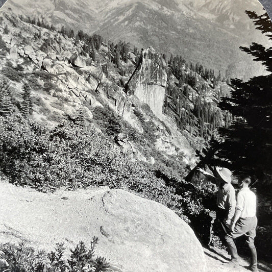 Antique 1910s Panther Gap Sequoia National Park CA Stereoview Photo Card V2047