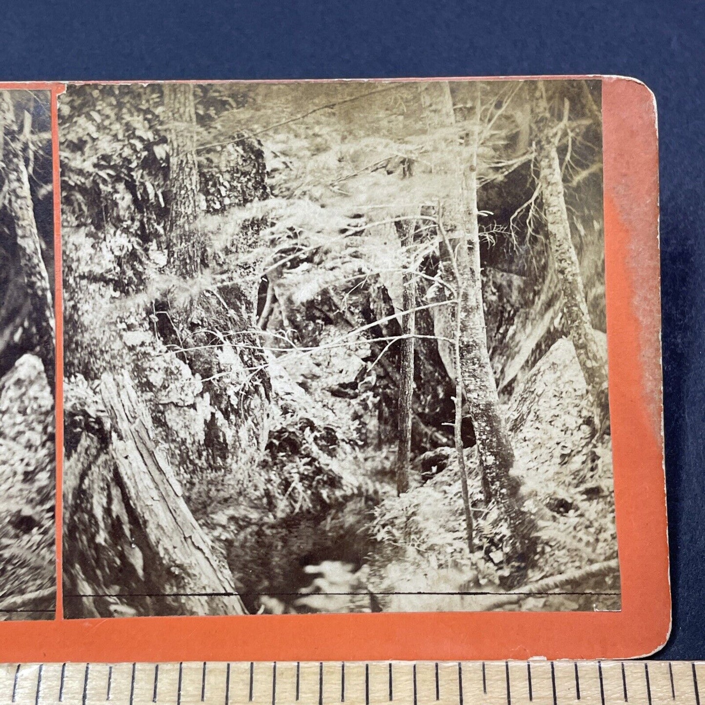 Antique 1850s The Devil's Pulpit Bedford NH Stereoview Photo Card V2141