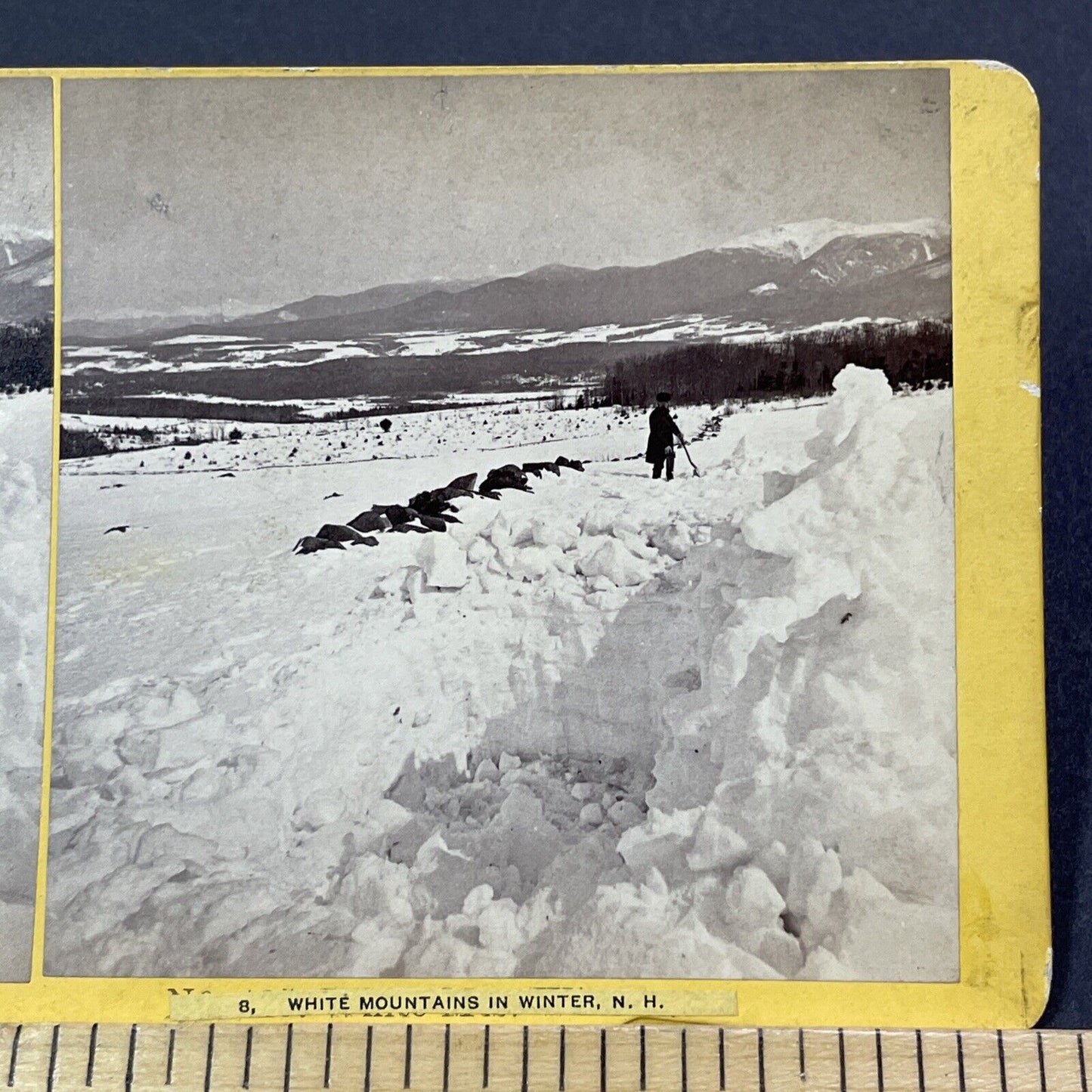 Antique 1874 Great Blizzard Of '74  Near Conway NH Stereoview Photo Card V1766