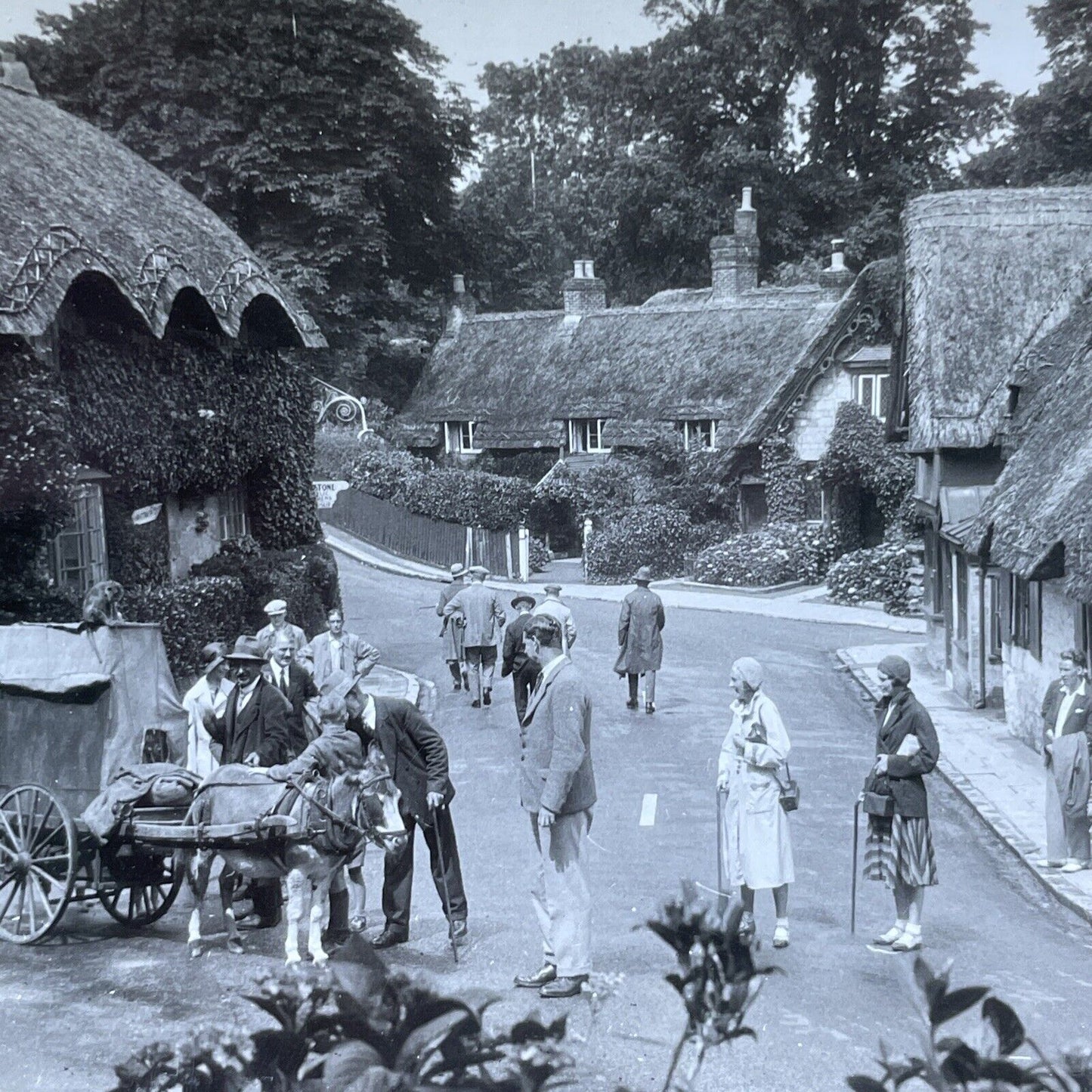 Antique 1922 Shanklin Cottages Isle Of Wight England Stereoview Photo Card V2952