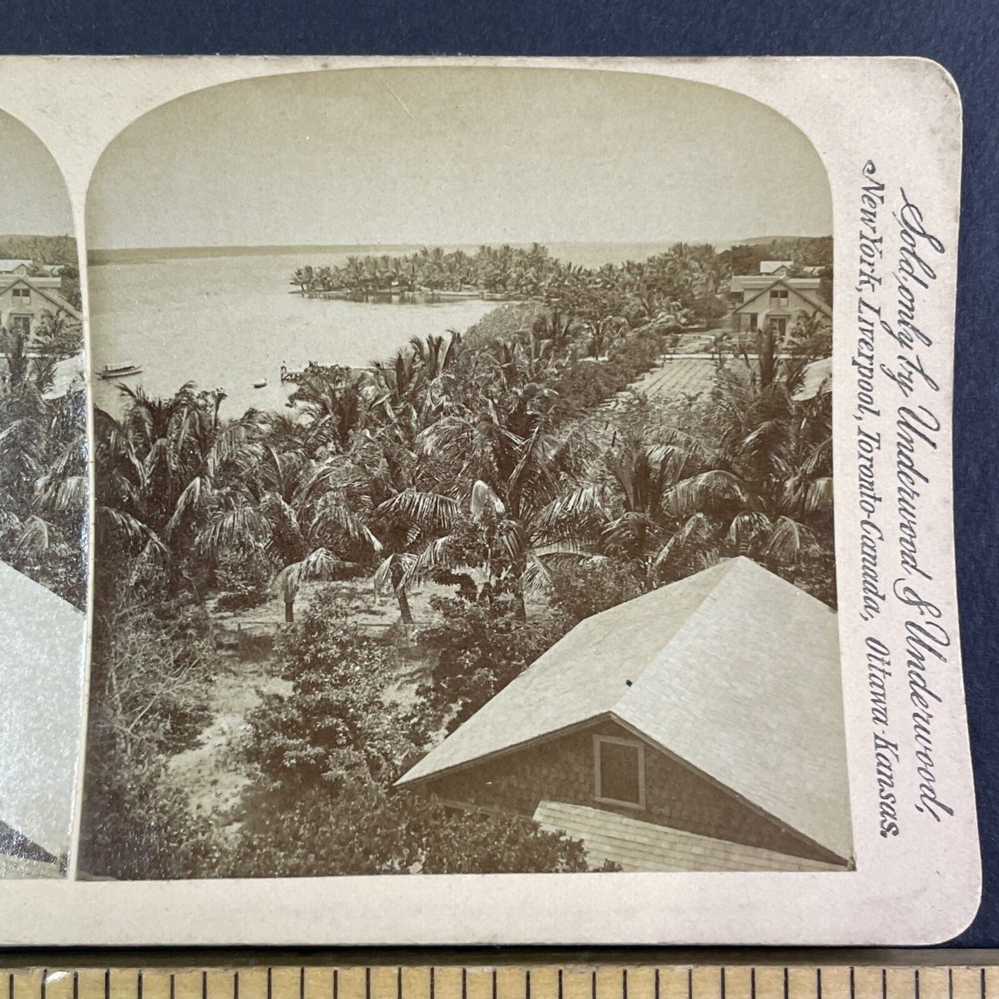 Lake Worth Florida Stereoview George Barker Antique c1891 Y1142