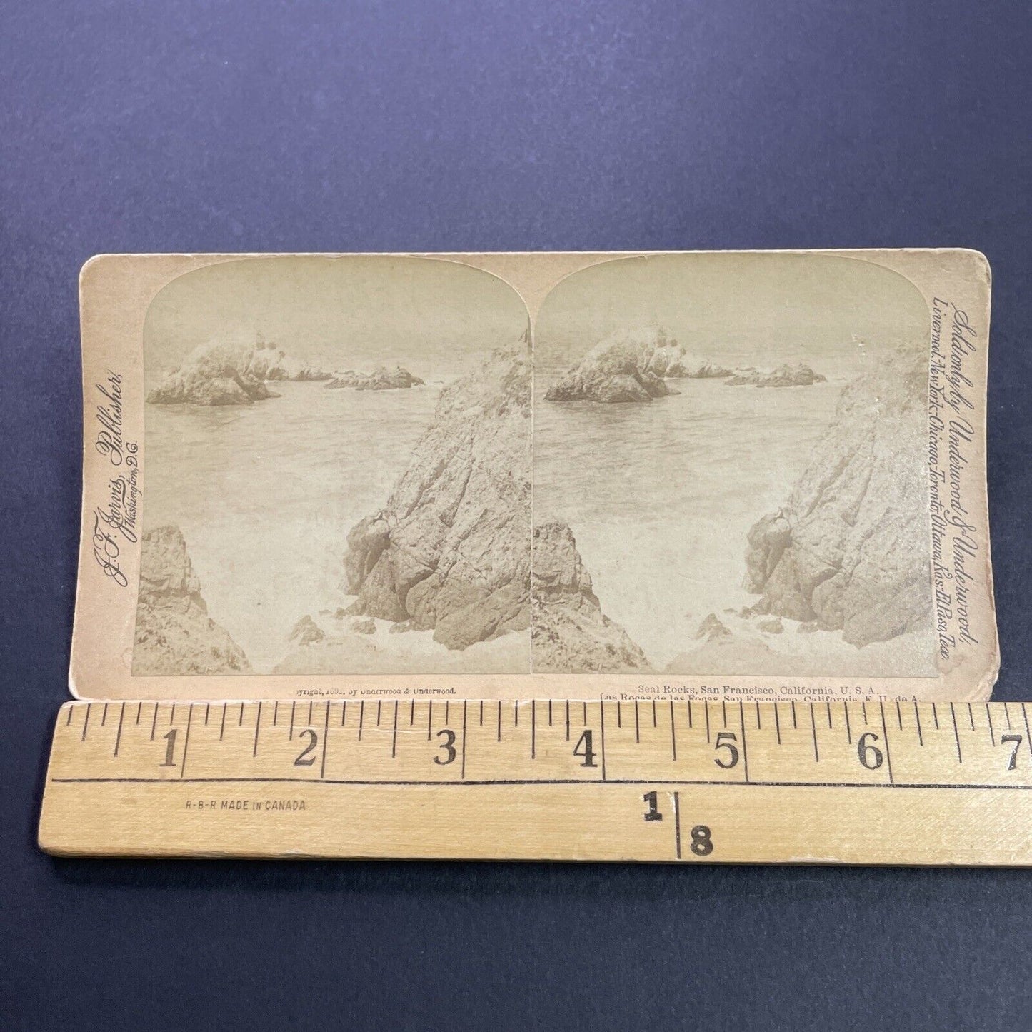 Antique 1892 Seal Rocks San Francisco California Stereoview Photo Card P3571