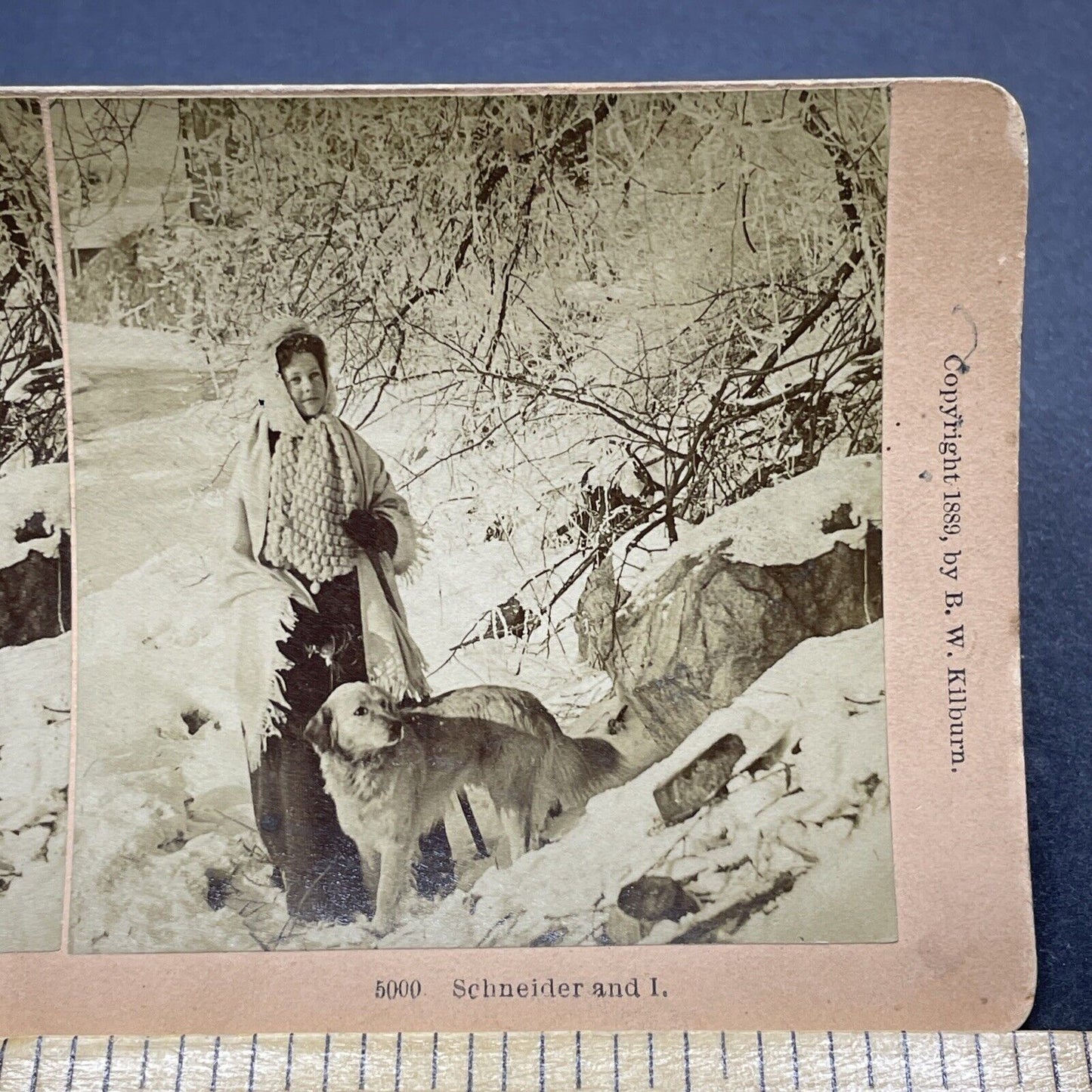 Antique 1889 Benjamin W Kilburn Daughter Elizabeth Stereoview Photo Card P1896