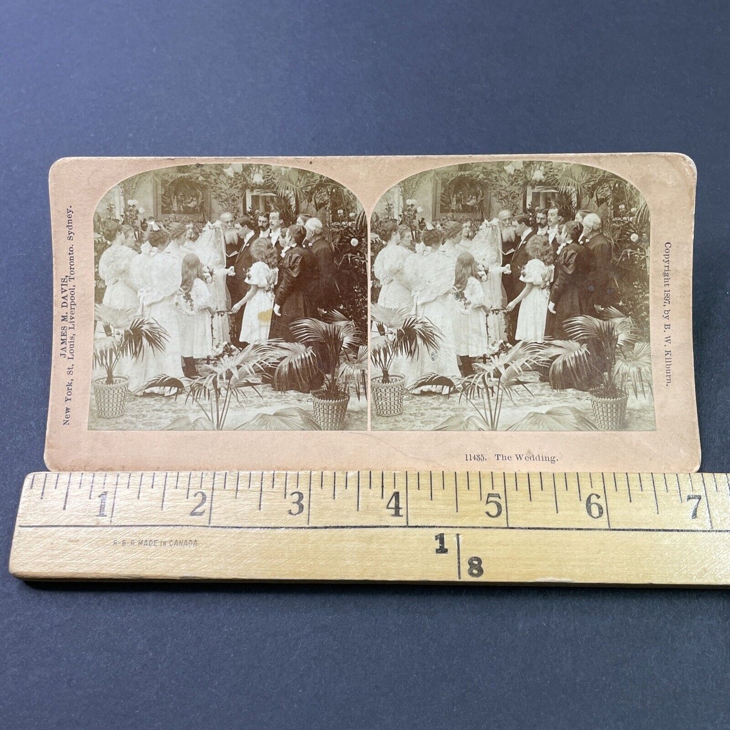 Antique 1897 Victorian Groom Places Ring On Finger Stereoview Photo Card P2957