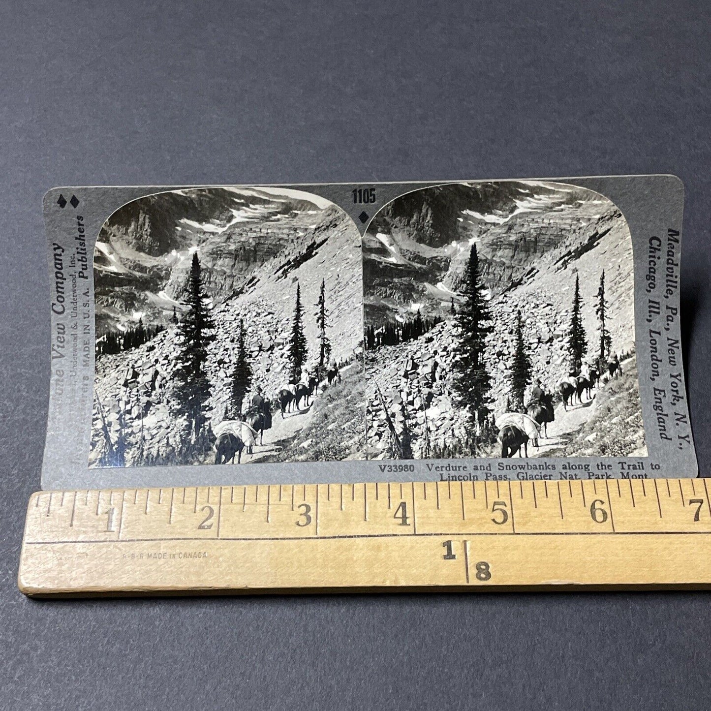 Antique 1910s Horses In Glacier National Park Montana Stereoview Photo Card 2654