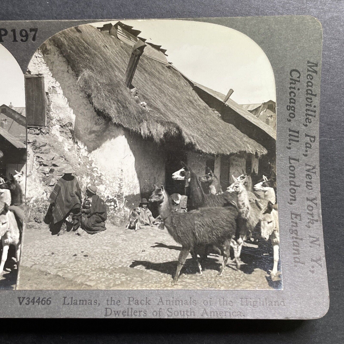 Antique 1918 Cerro De Pasco Village Andes Peru Stereoview Photo Card P1460