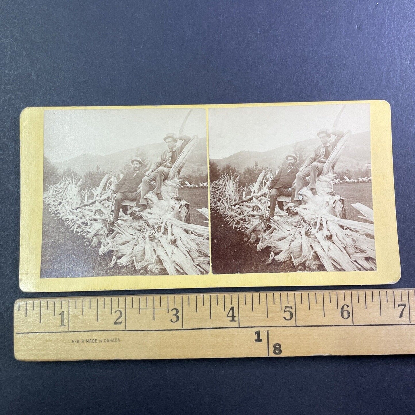 E.J. Young on a Stump Fence Stereoview Campton New Hampshire c1870s Y883