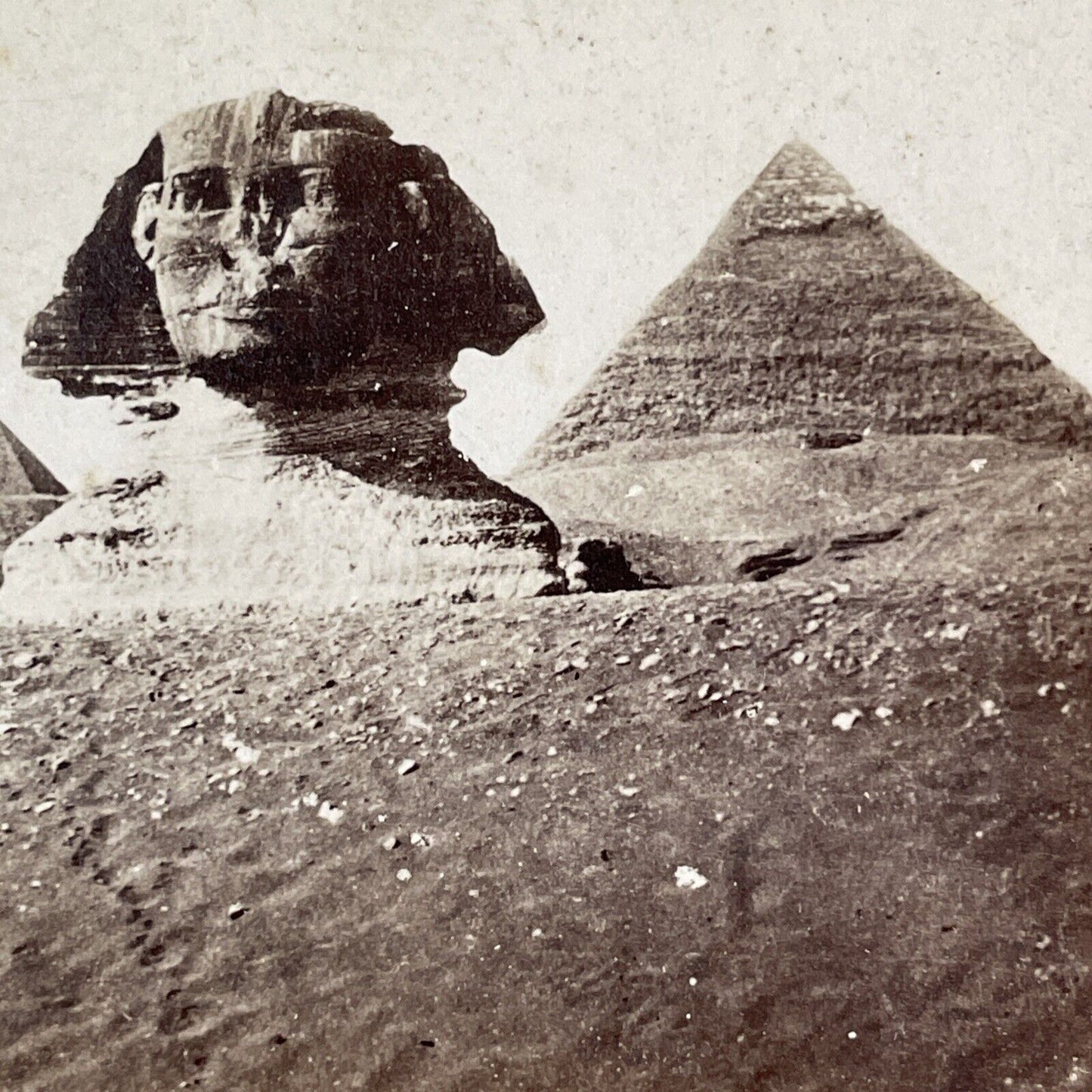 The Sphinx Unexcavated Stereoview Maxime Du Camp Antique c1849 RARE X2624