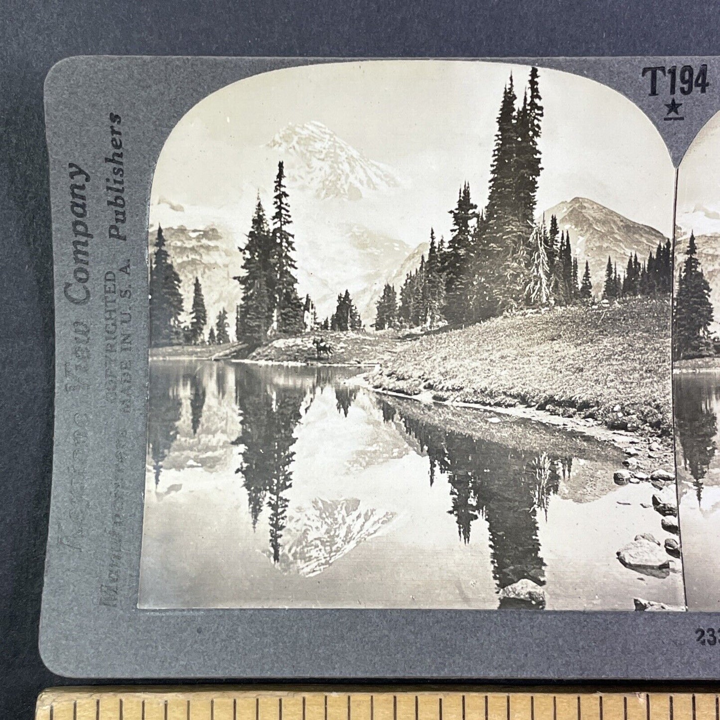 Cowboy near Mount Rainier Washington Stereoview Antique c1910 Y1168