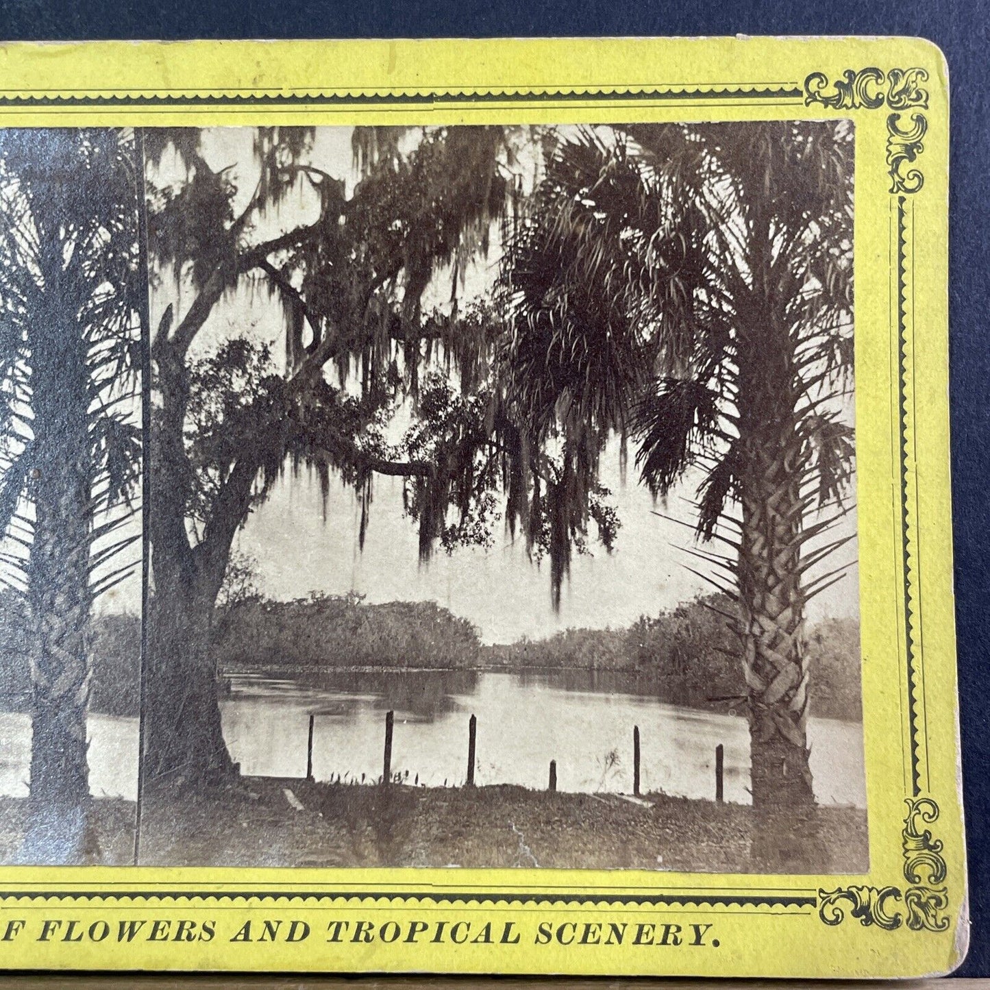 Ocklawaha River Stereoview Welaka Florida Antique c1885 J.I. Mackey Y088