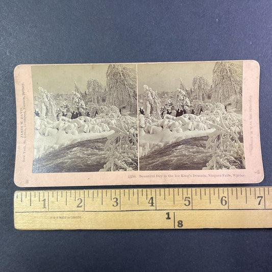 The Ice King's Domain Luna Island New York Stereoview Antique c1898 Y1863