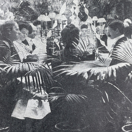 Antique 1906 Wealthy Chicago Family Wedding Breakfast Stereoview Photo Card P1129