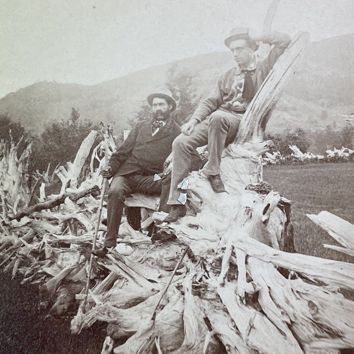 E.J. Young on a Stump Fence Stereoview Campton New Hampshire c1870s Y883