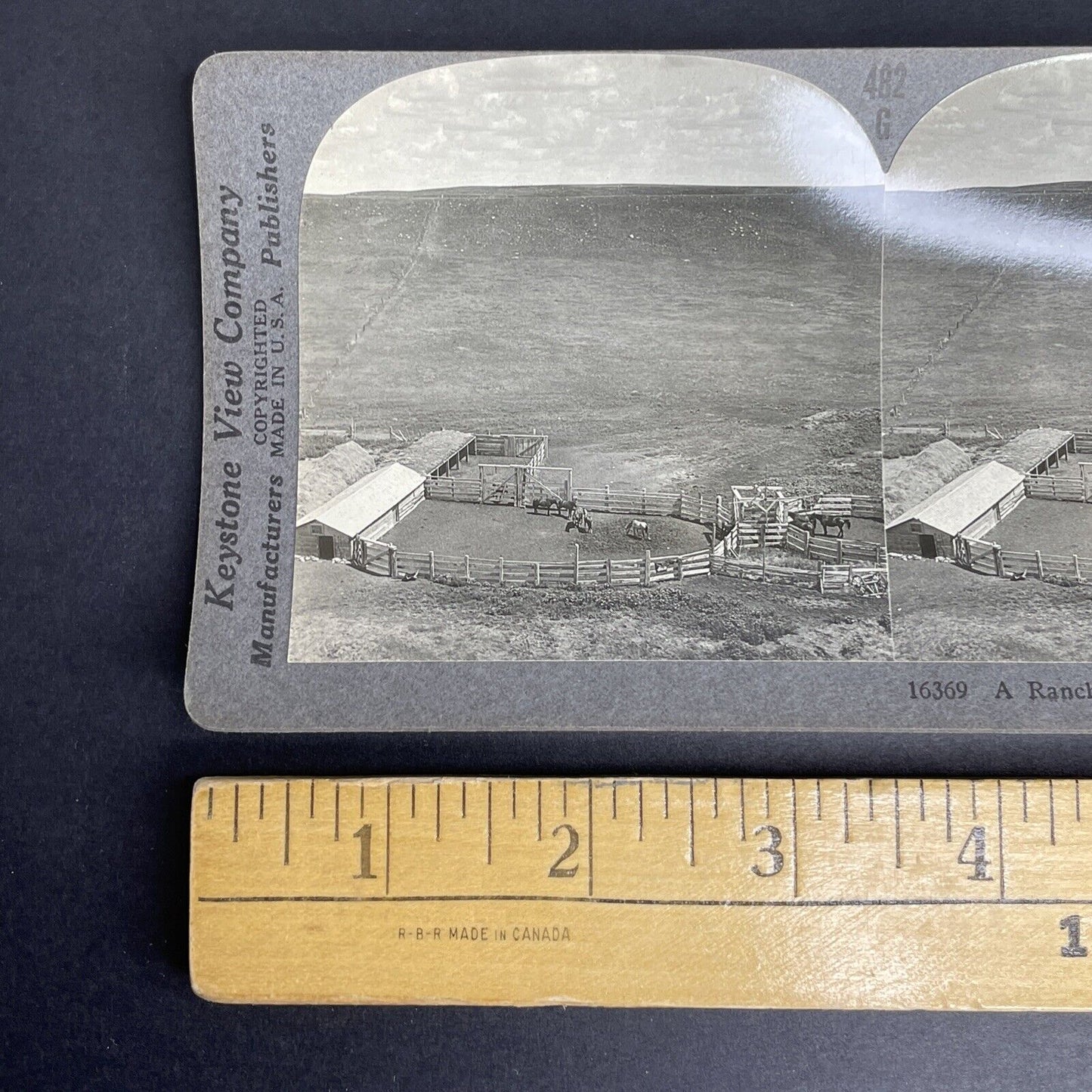 Antique 1903 Cattle Ranch Drumheller Alberta Stereoview Photo Card PC860