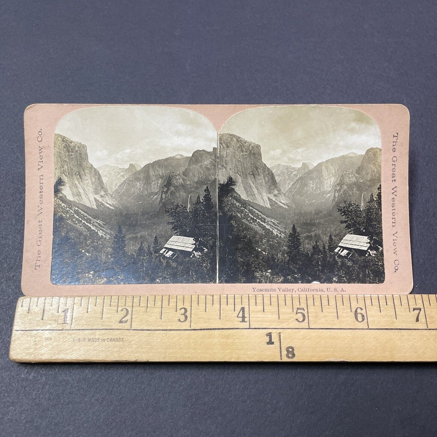 Antique 1880s John Muir In Yosemite California Stereoview Photo Card V2119