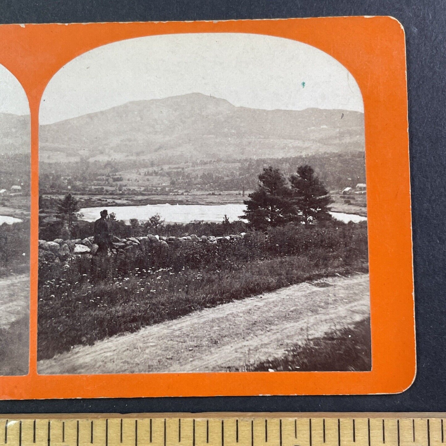 Perkins Pond Troy New Hampshire Stereoview J.A. French Antique c1870s Y874