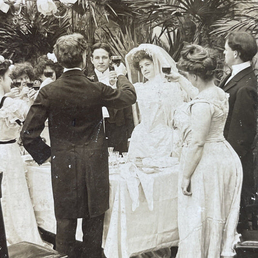 Antique 1902 Dinner Wine Toast At Victorian Wedding Stereoview Photo Card P2981