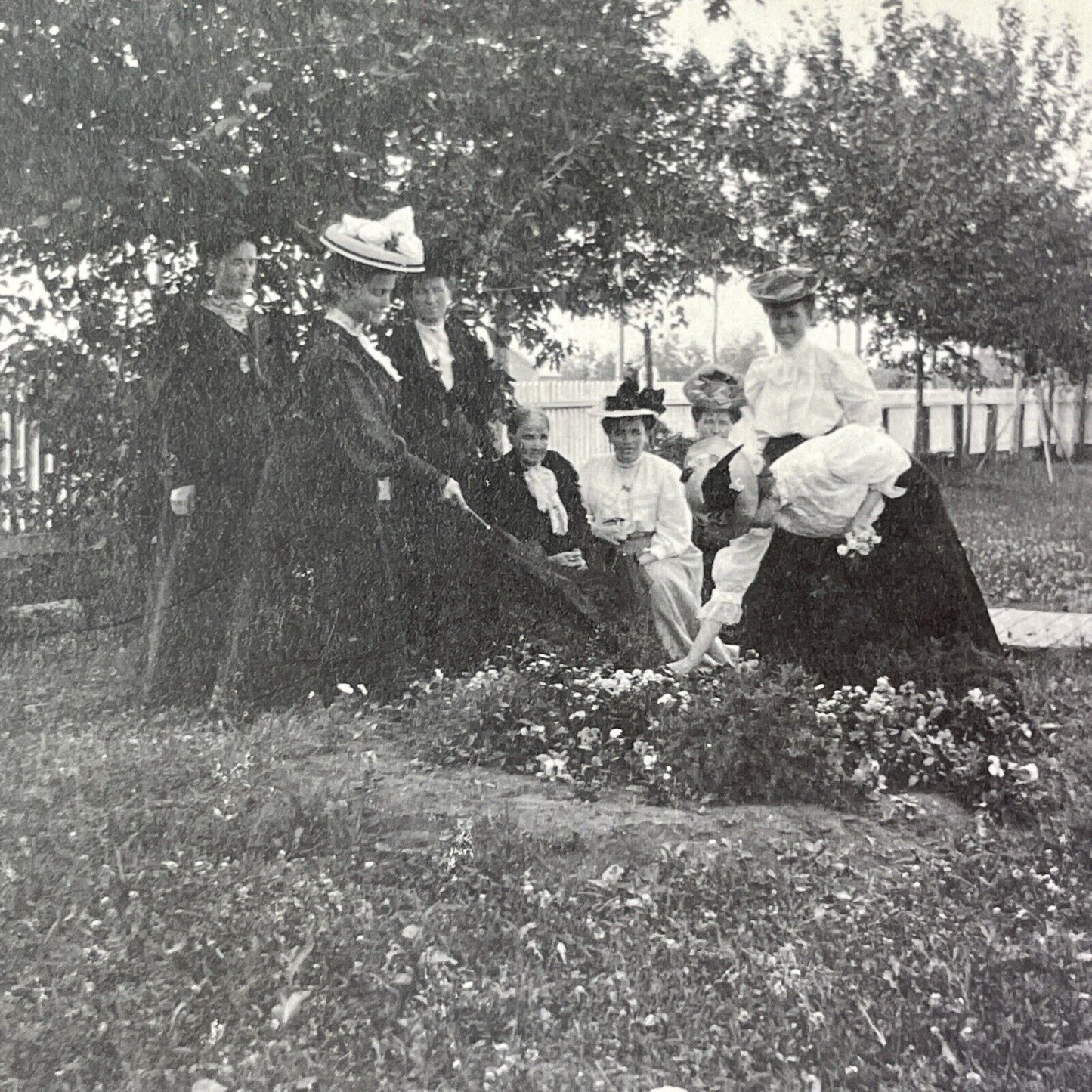 Lady Laura Borden Garden Photo Stereoview OOAK Antique c1908 Y2759