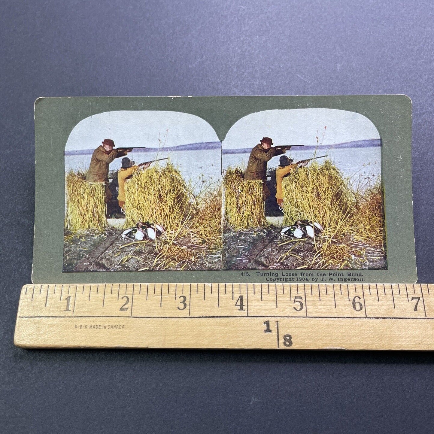 Antique 1904 Duck Hunters Shooting From A Blind Stereoview Photo Card V3409