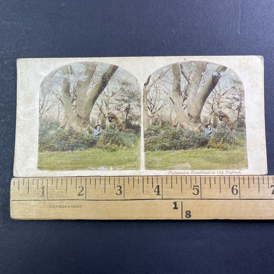 British Gardeners Landscapers Take A Rest Stereoview Antique c1870 X2453