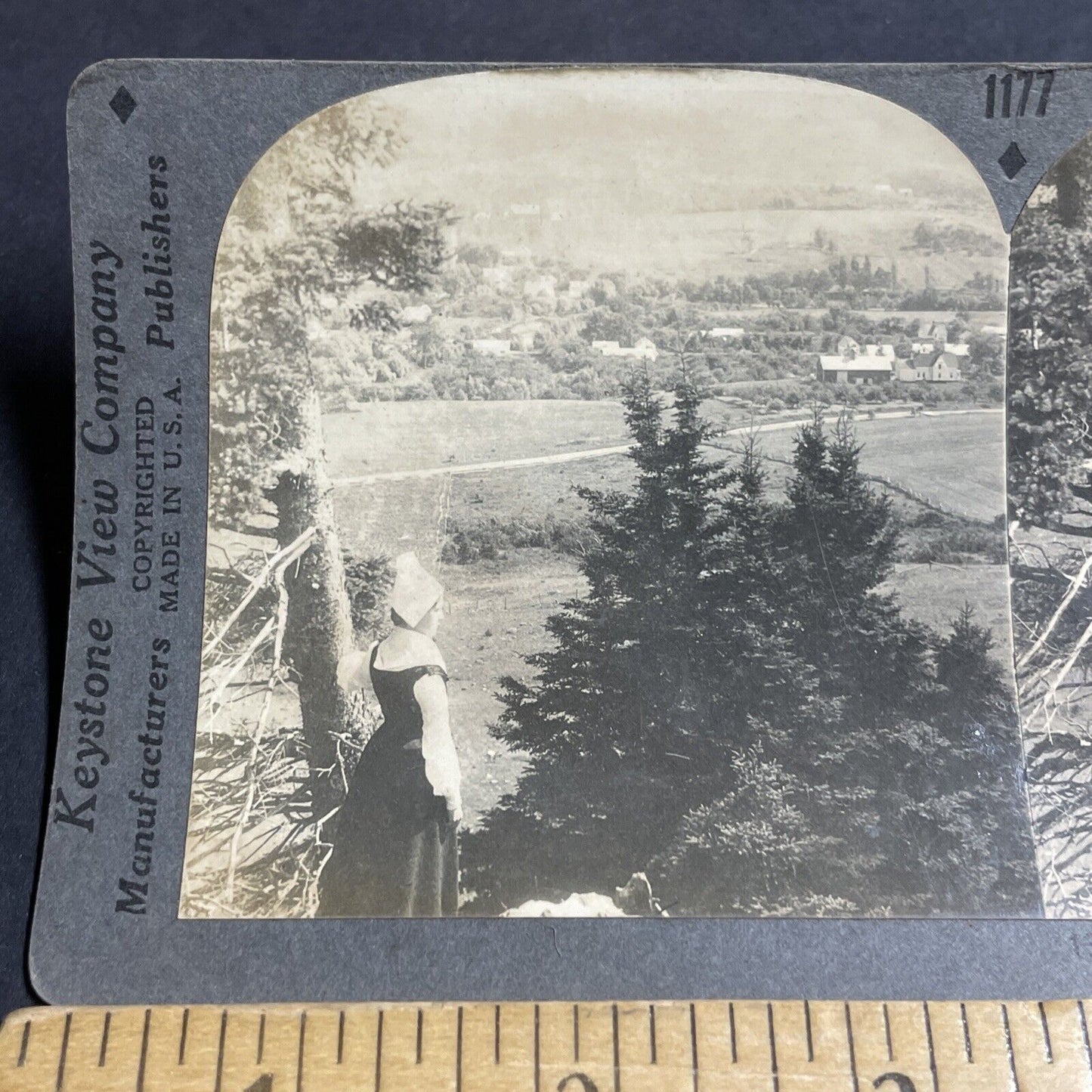 Antique 1910s Acadian Acadia Girl Nova Scotia Canada Stereoview Photo Card P4928