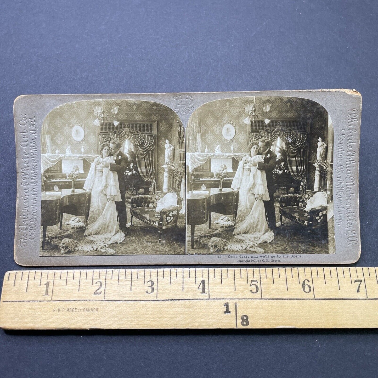 Antique 1901 Roaring Cheetah Skin Rug In Parlor Stereoview Photo Card P2581