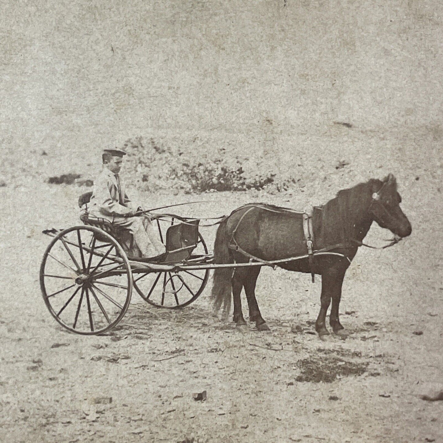 Boston Or Isles Of Shoals Stereoview Pony Wagon Photo Card Antique 1860s X875