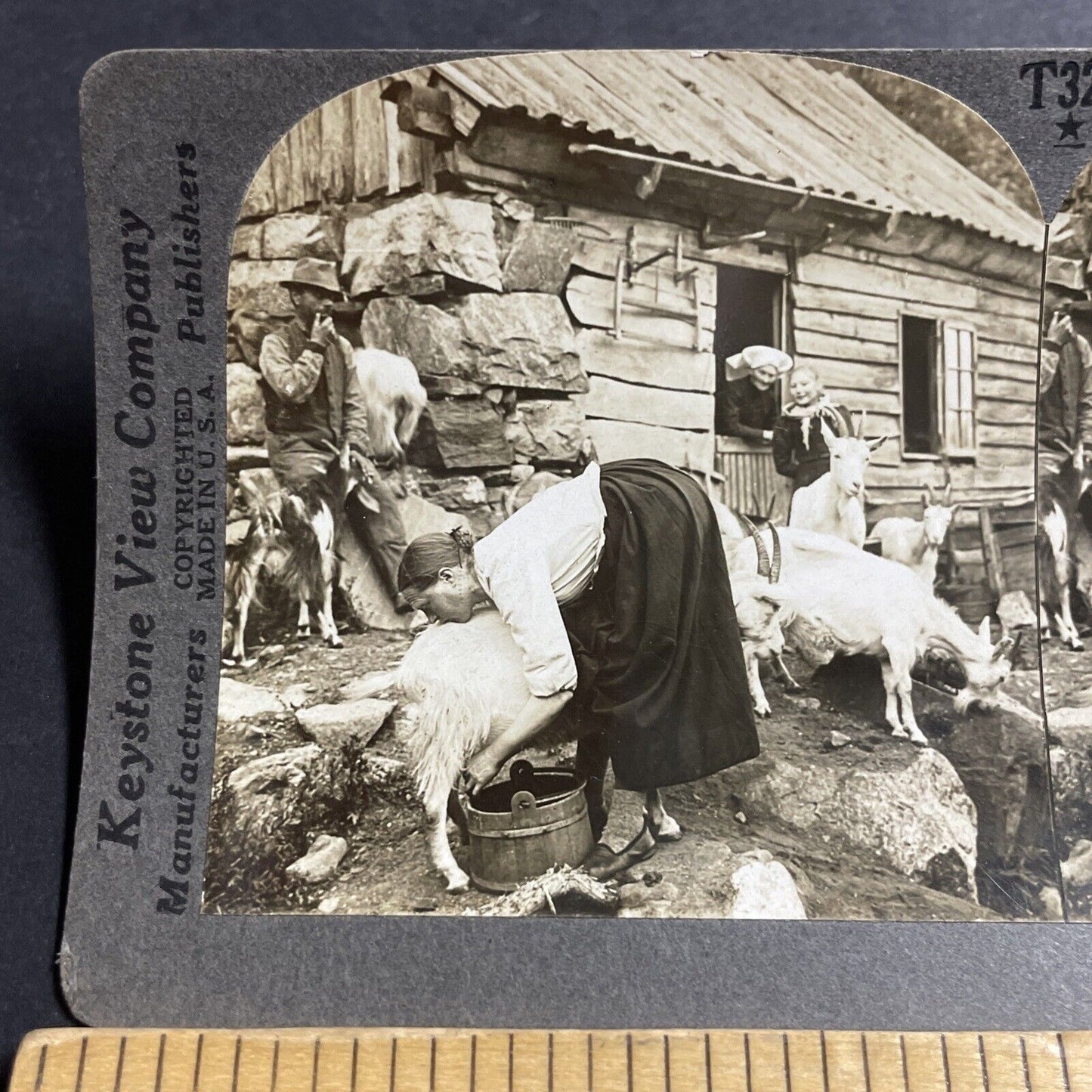 Antique 1910s Woman Milking A Goat In Northern Norway Stereoview Photo Card 5108