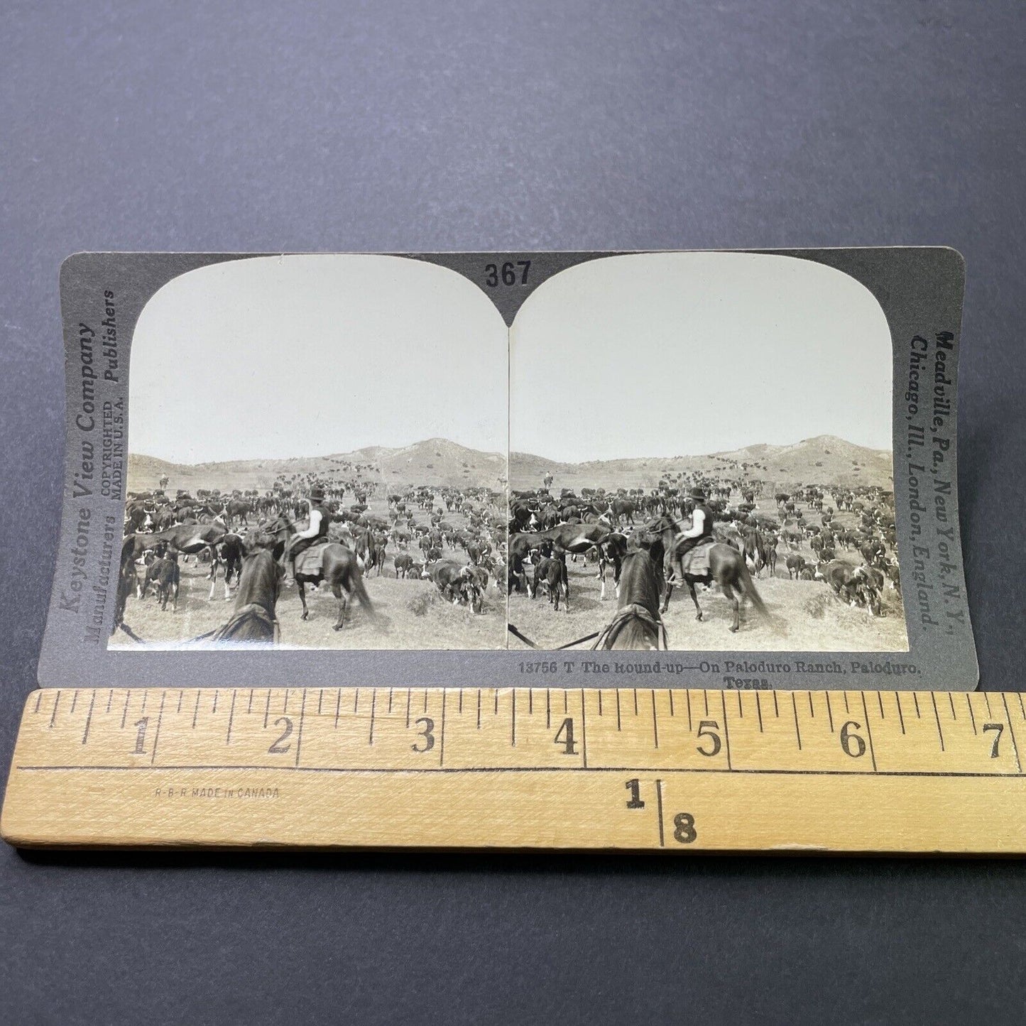 Antique 1910s Texas Cowboys Round-Up Cattle Stereoview Photo Card P3181