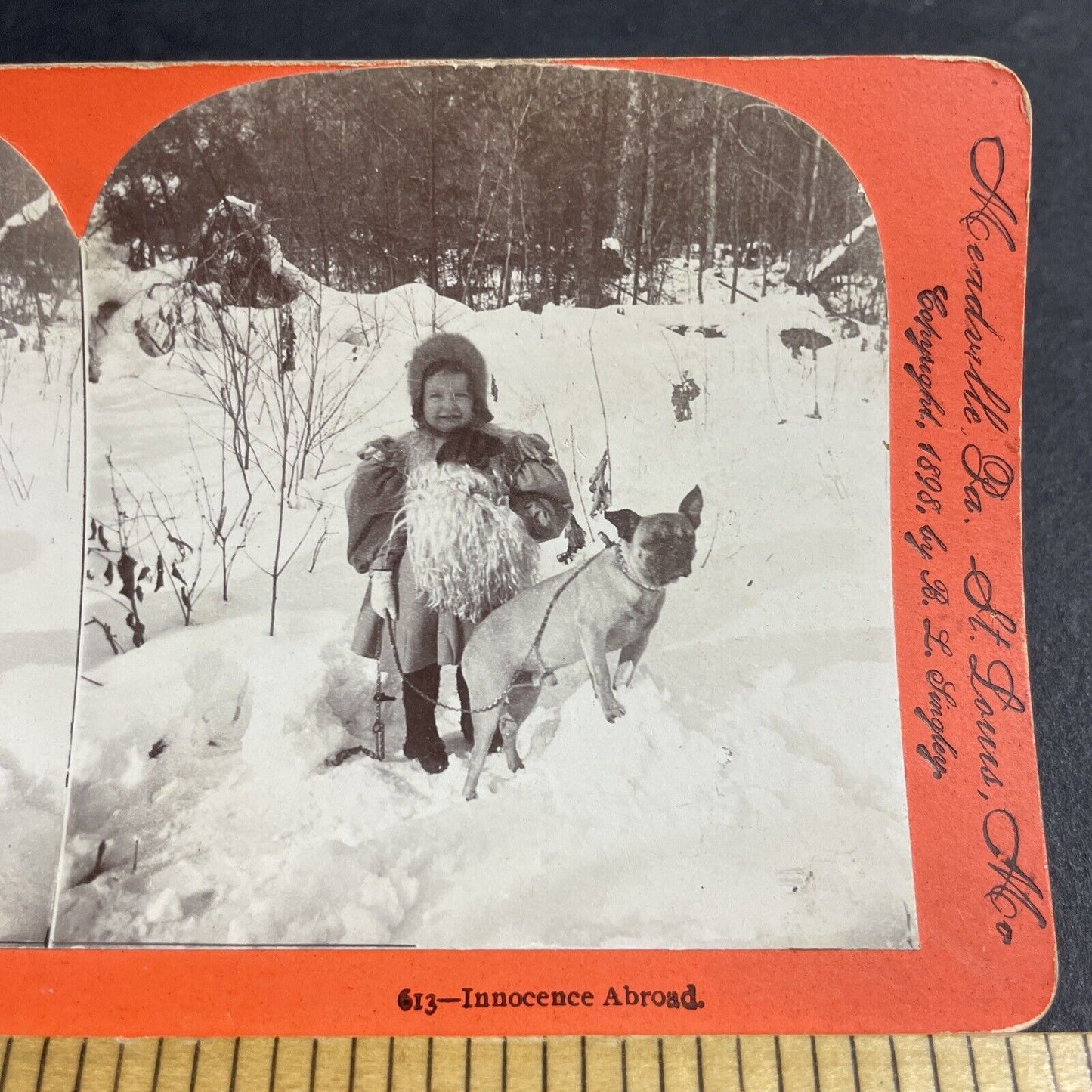 Antique 1898 Young Girl With Pug Dog In Deep Snow Stereoview Photo Card P4076