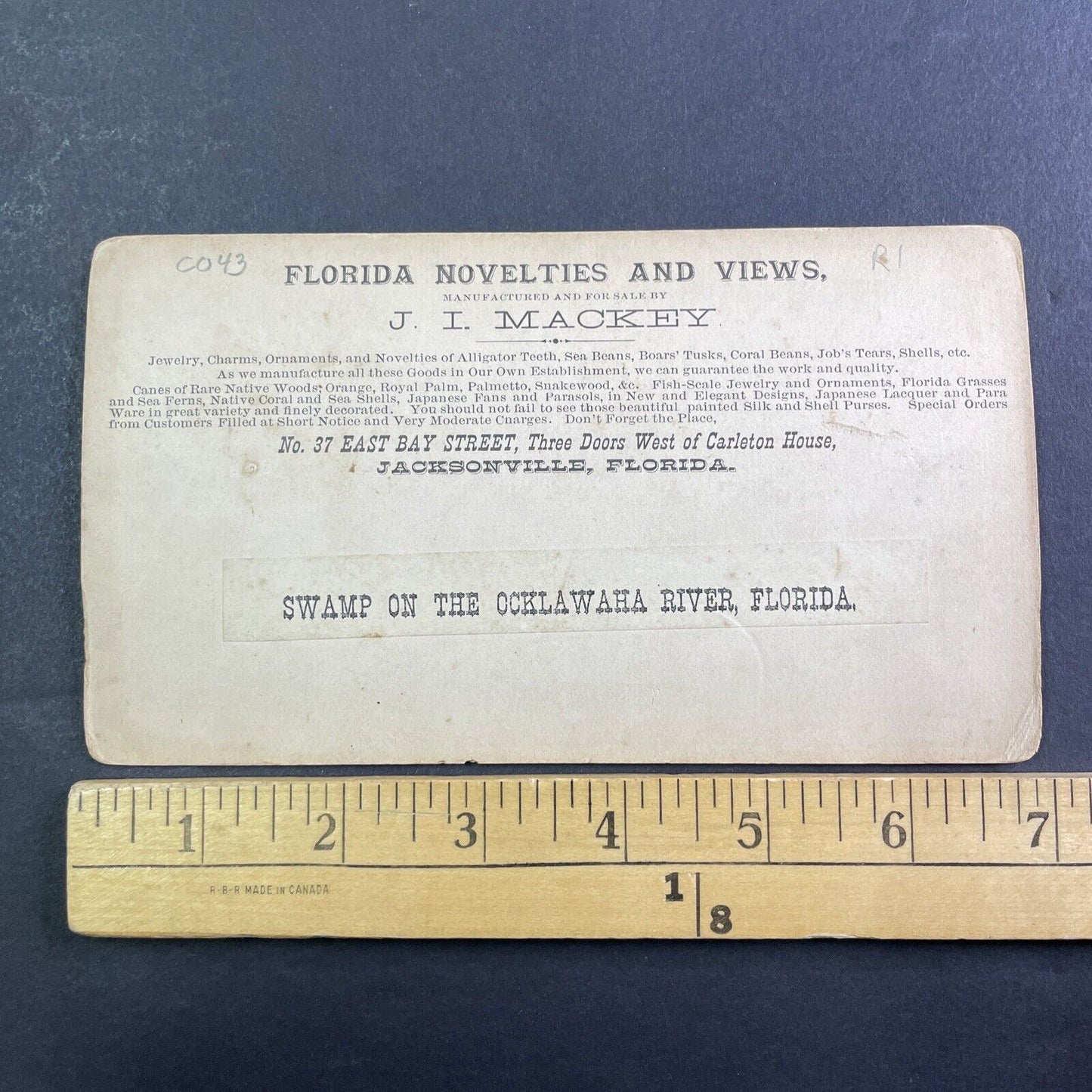 Ocklawaha River Swamp in Florida Stereoview J.I. Mackey Antique c1885 Y095