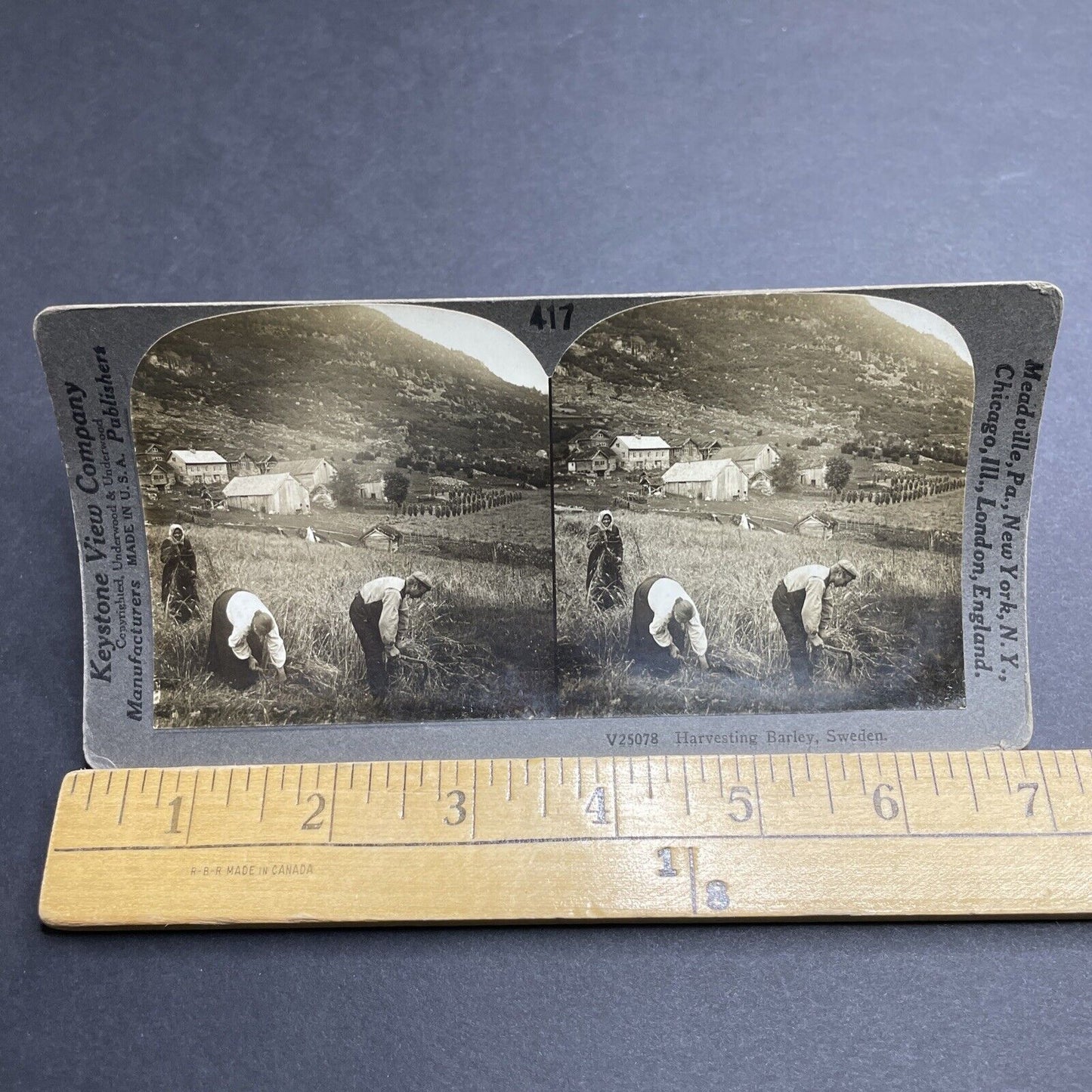 Antique 1910s Handcutting Barley Farm Rural Sweden Stereoview Photo Card P2028