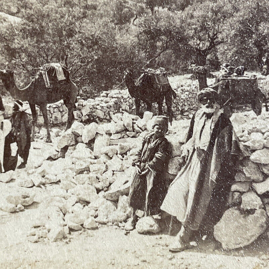 Antique 1900 Desert Caravan Travels To Jerusalem Stereoview Photo Card P4238