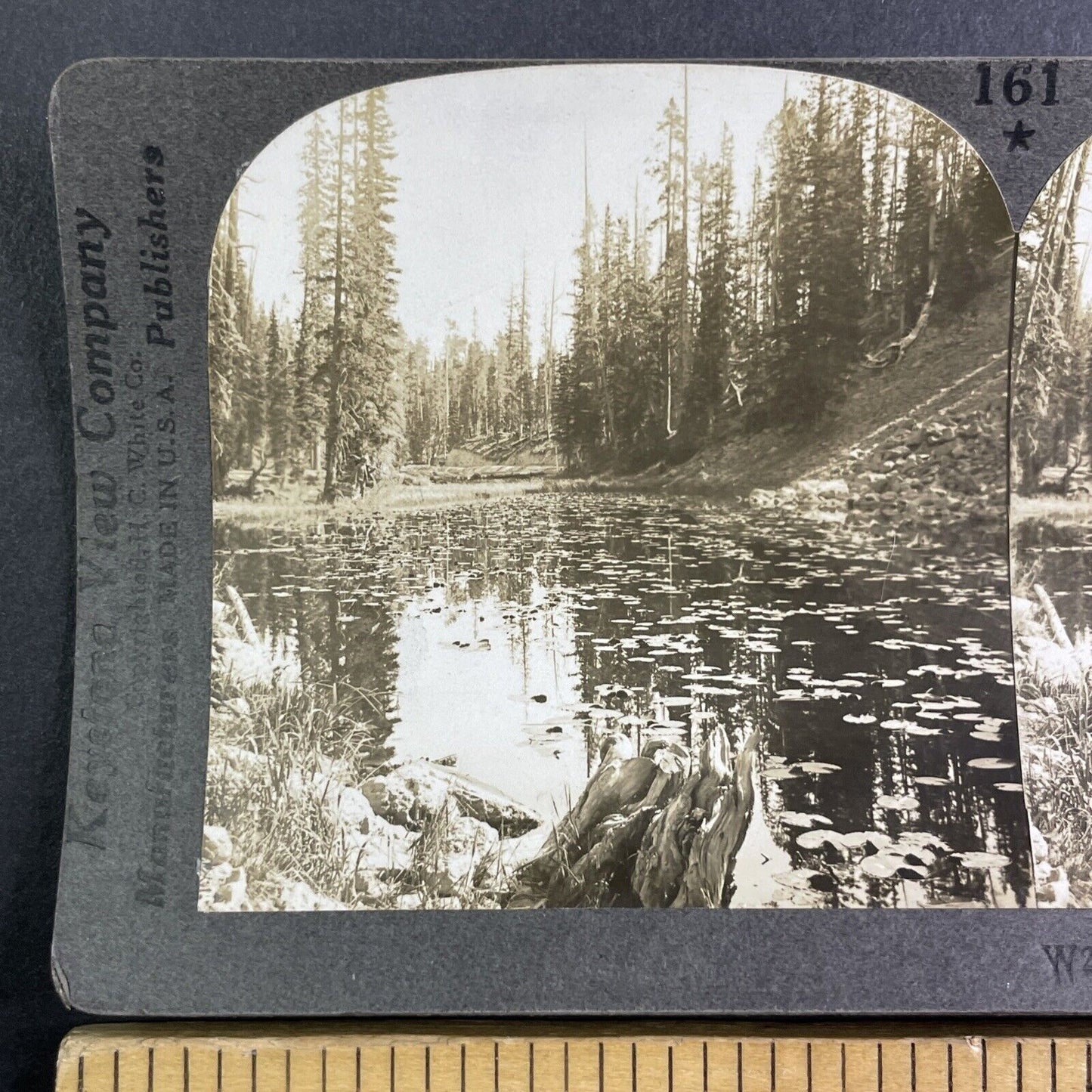 Isa Lake Yellowstone Park Wyoming Stereoview Antique c1910s Y1183