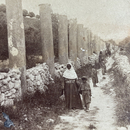 Antique 1900 Herod The Great Street Columns Israel Stereoview Photo Card P4184