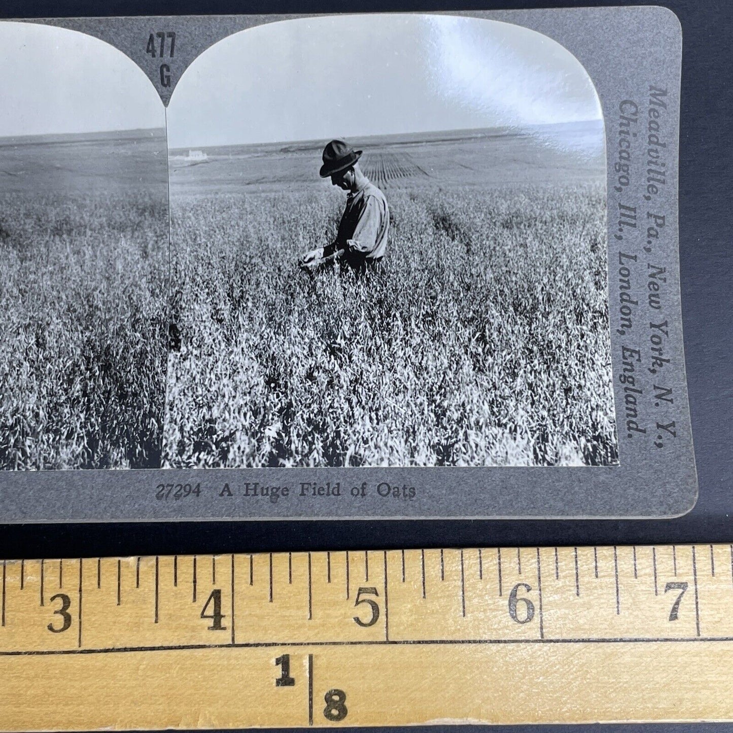 Antique 1904 Oat Farm In Saskatchewan Canada Stereoview Photo Card PC869