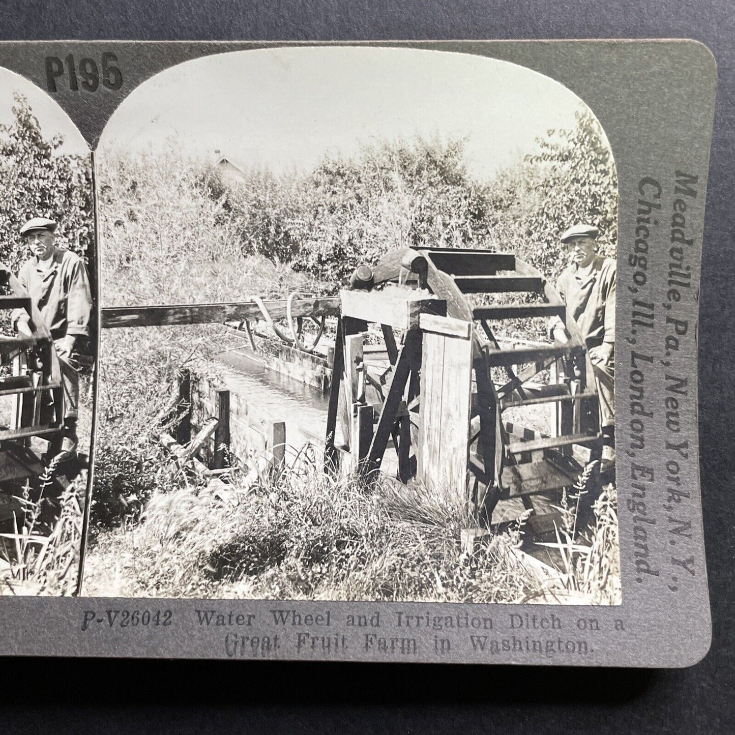 Antique 1909 Irrigation On Apple Farm Washington Stereoview Photo Card P1779