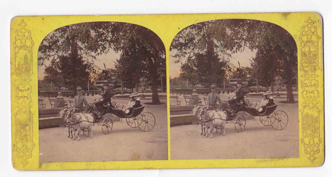 1891 A Goat Drawn Carriage, Central Park, New York City NYC Stereo Card P388