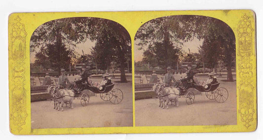 1891 A Goat Drawn Carriage, Central Park, New York City NYC Stereo Card P388