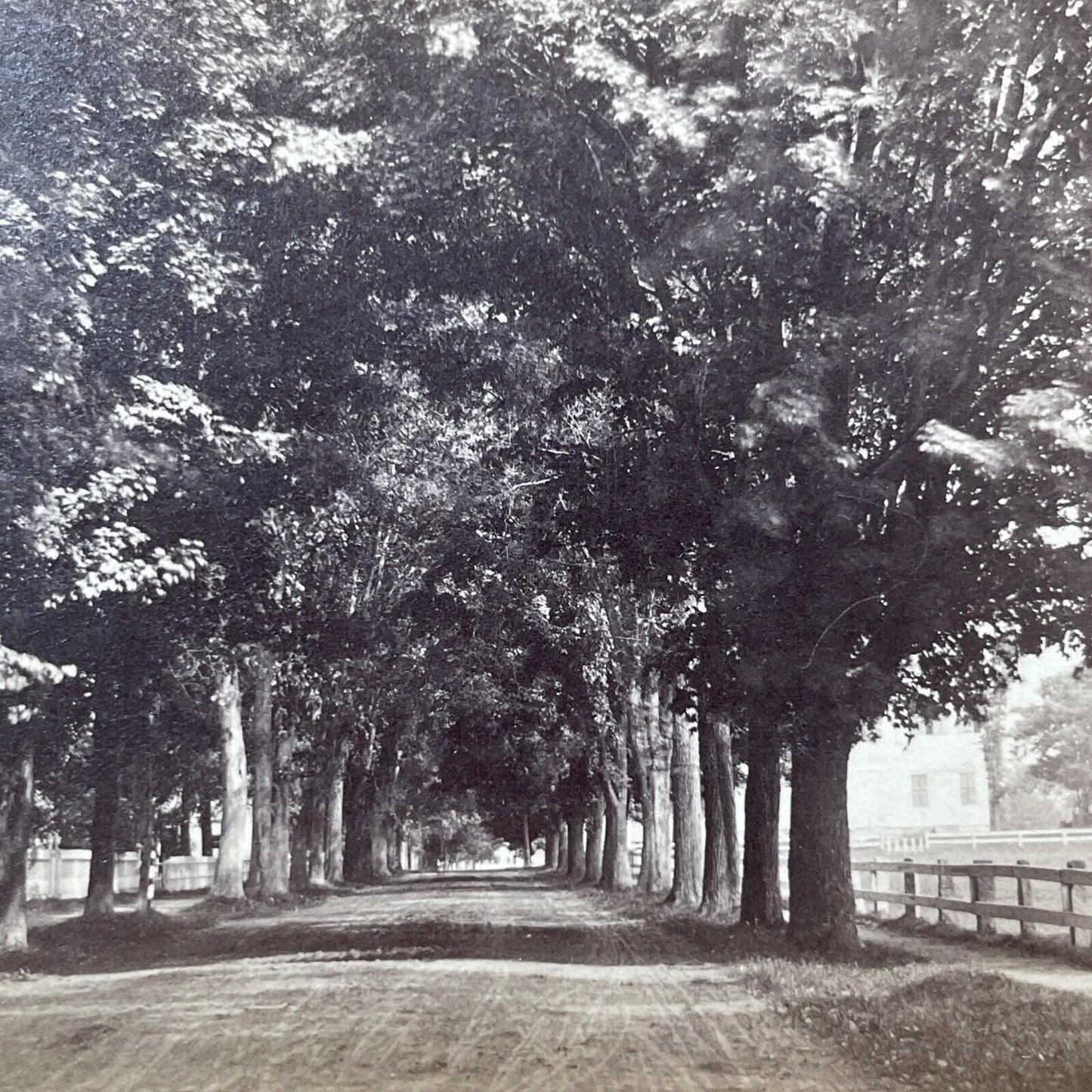 Antique 1870s Main Street In Hanover New Hampshire Stereoview Photo Card V2007