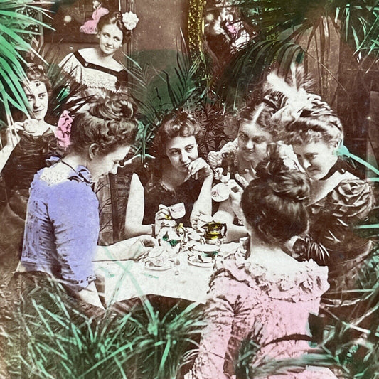 Antique 1901 Women Have A Garden Tea Party Stereoview Photo Card P2676