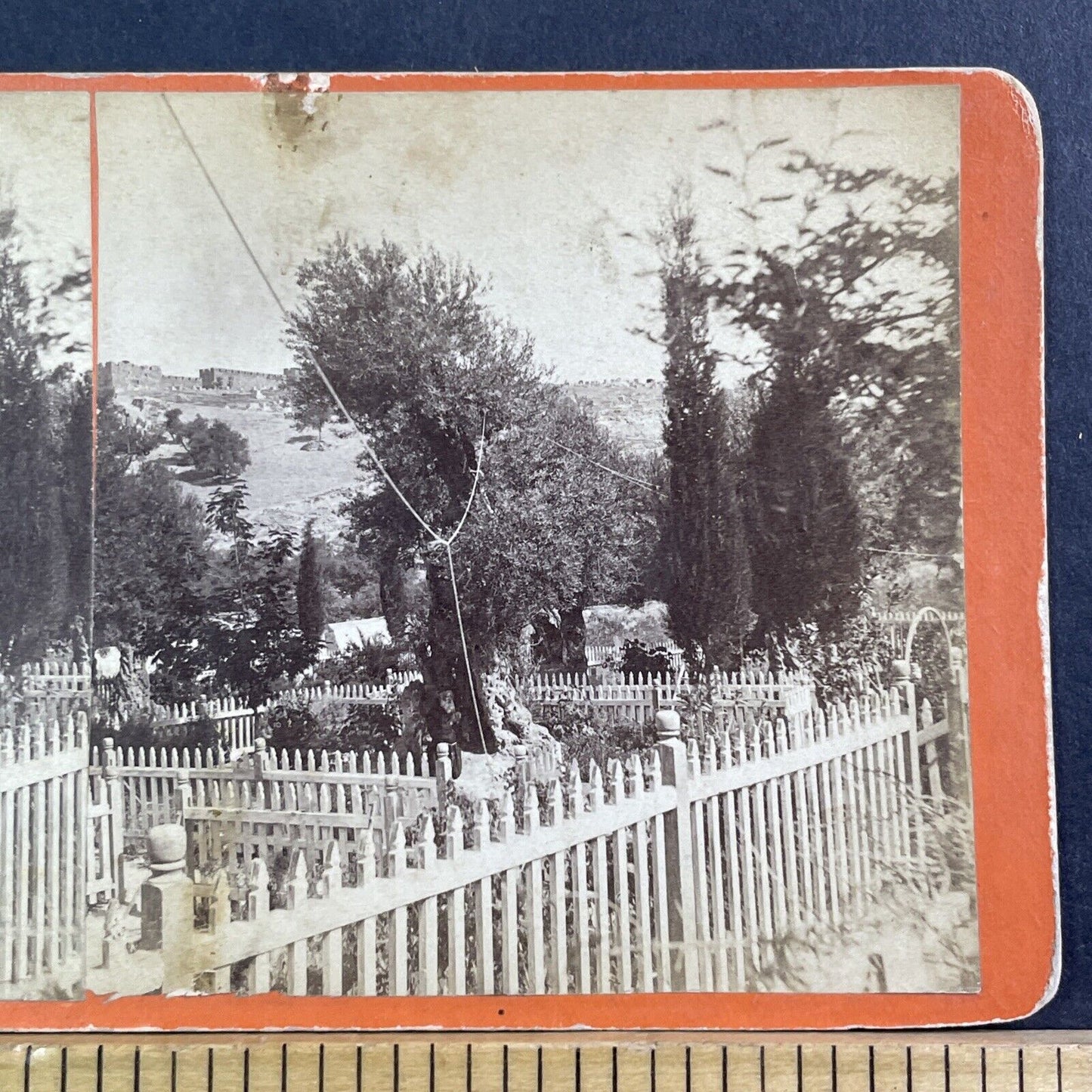 Gethsemane Jerusalem Garden Of Olives Stereoview Antique c1865 X1621