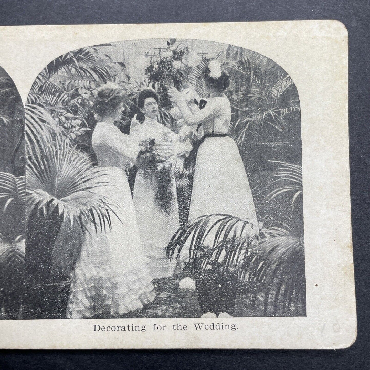 Antique 1905 Bridesmaids Decorating For Wedding Stereoview Photo Card P580-031