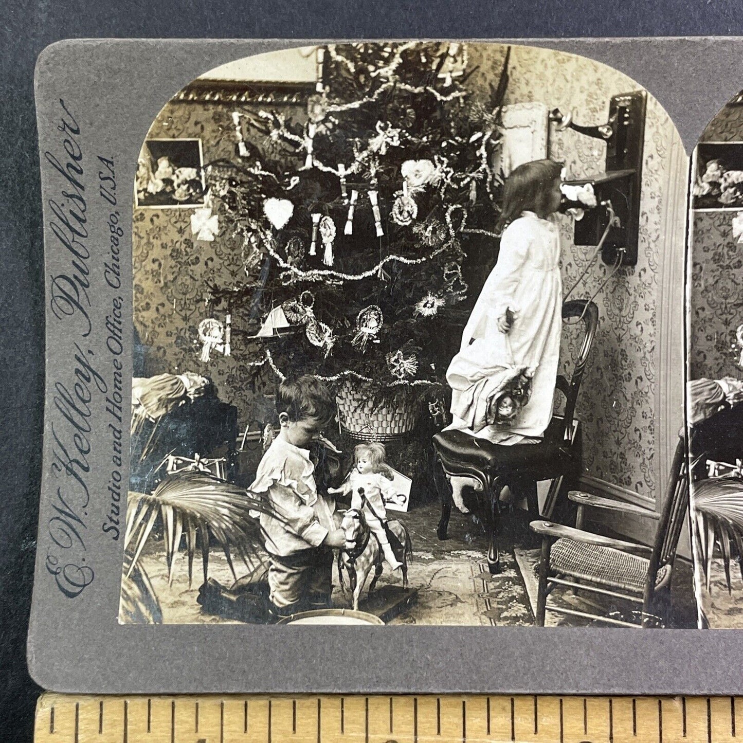 Early Photo Of A Christmas Tree Stereoview William H Rau Antique c1897 X1839