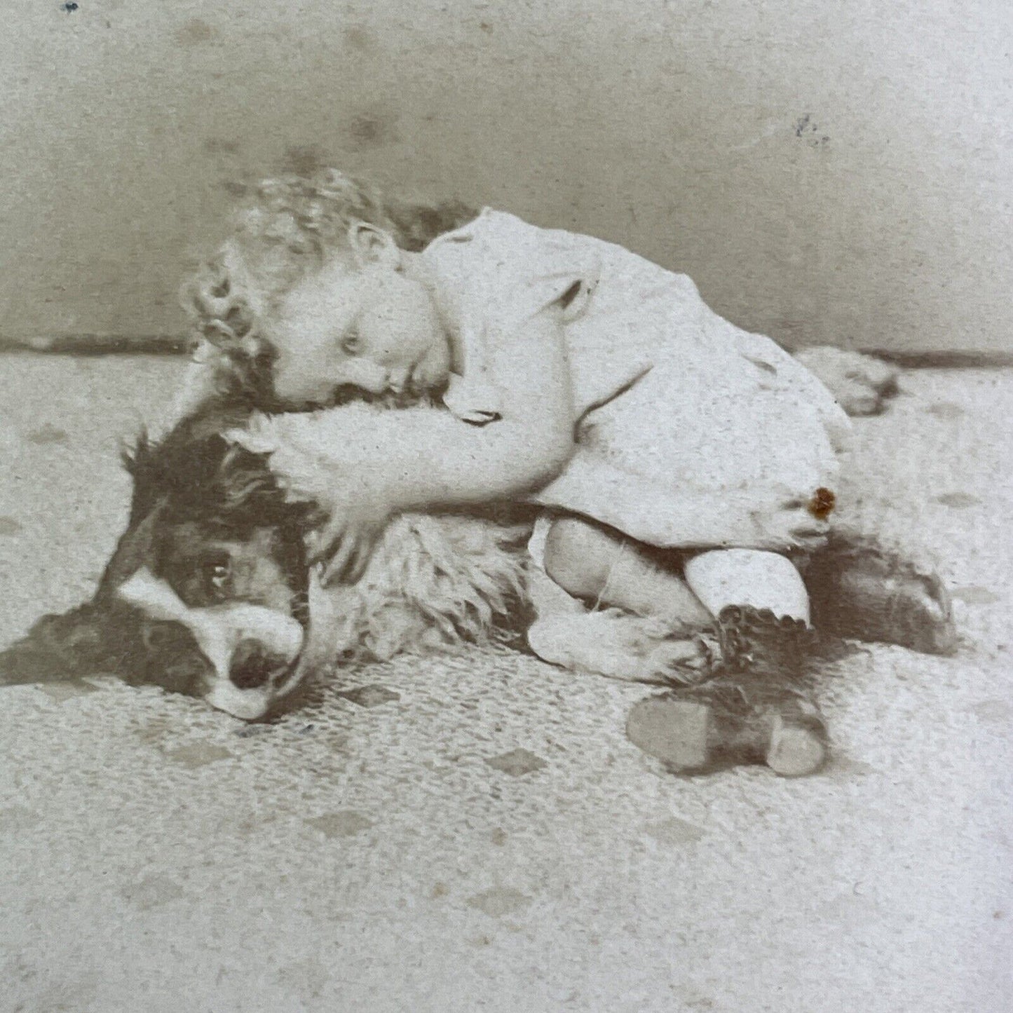 Child Cuddling Her Dog Stereoview Border Collie Antique c1865 X1535