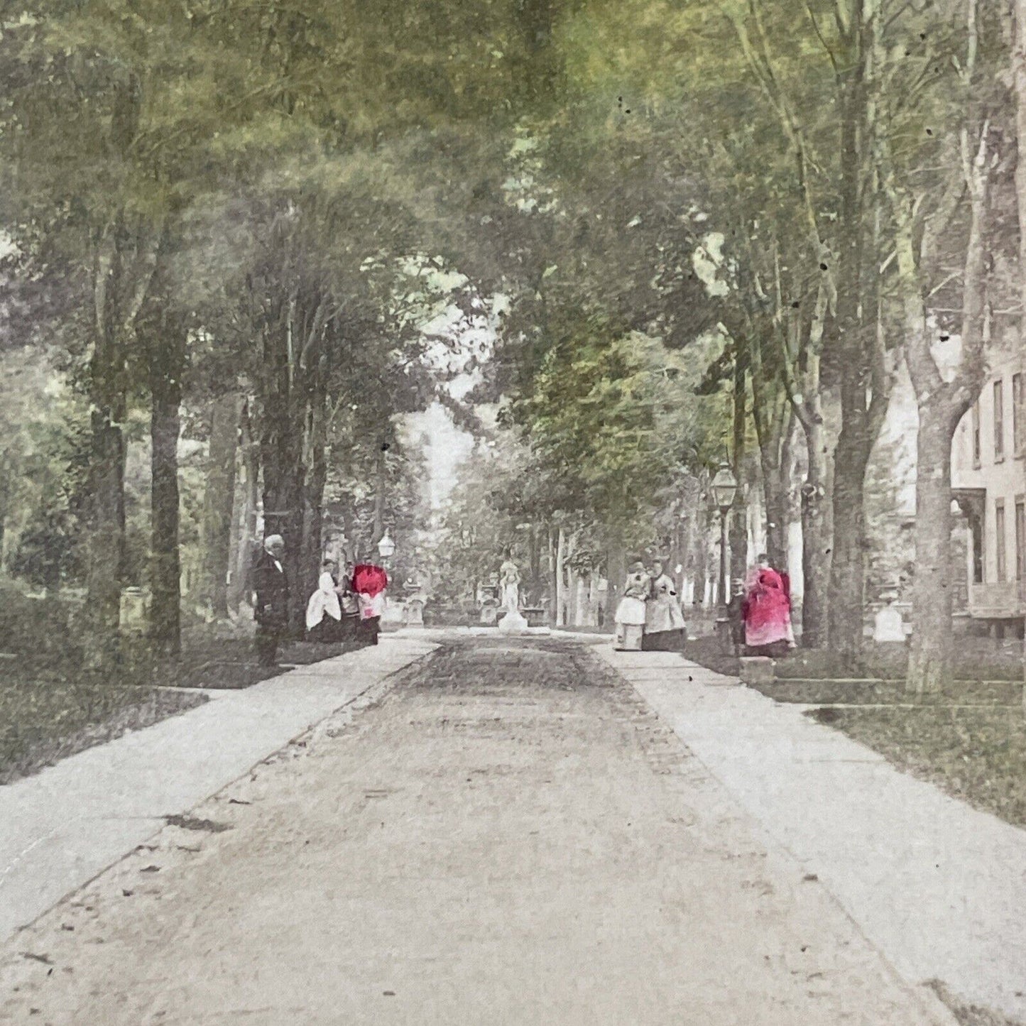 Livingston Park Road Stereoview Rochester NY Photo Card Antique c1875 X989