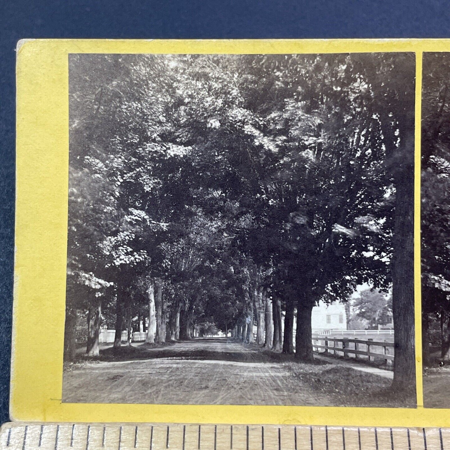 Antique 1870s Main Street In Hanover New Hampshire Stereoview Photo Card V2007