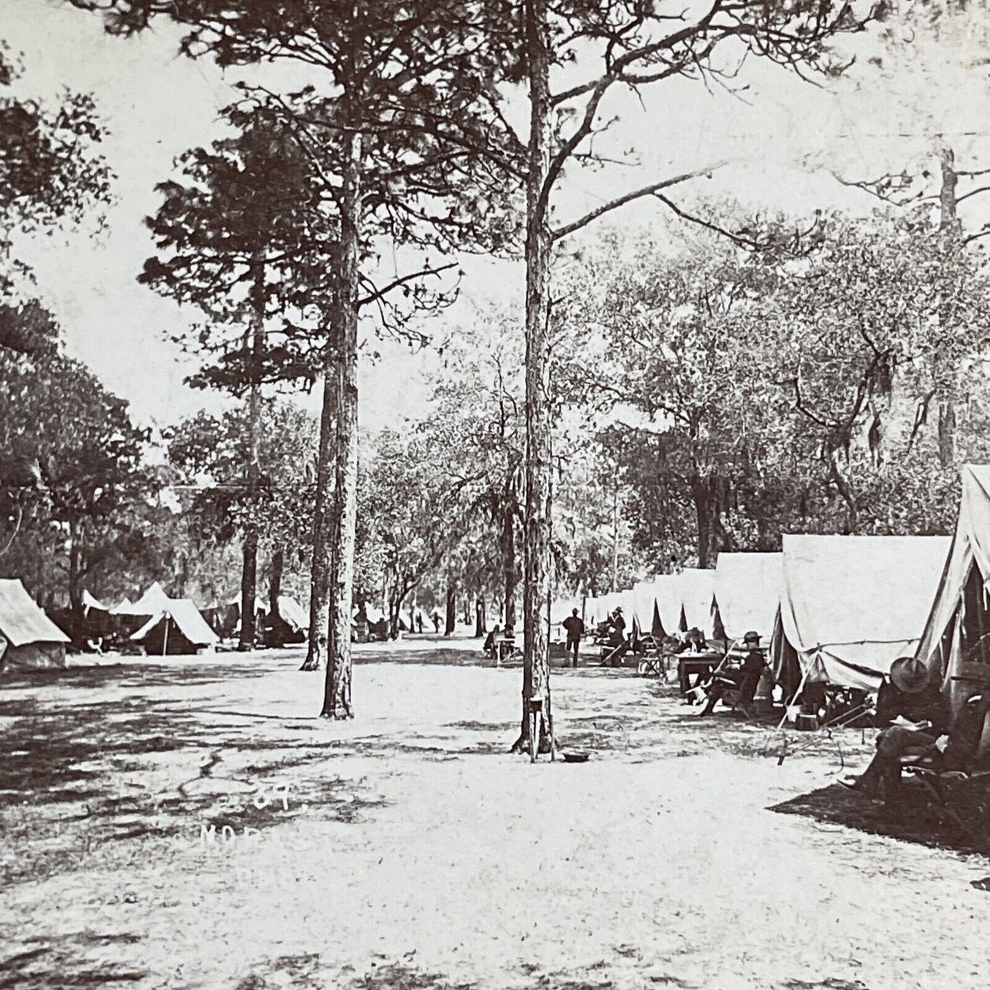 US Army Camp In Tampa Bay Florida Stereoview Webster Antique c1898 X3120